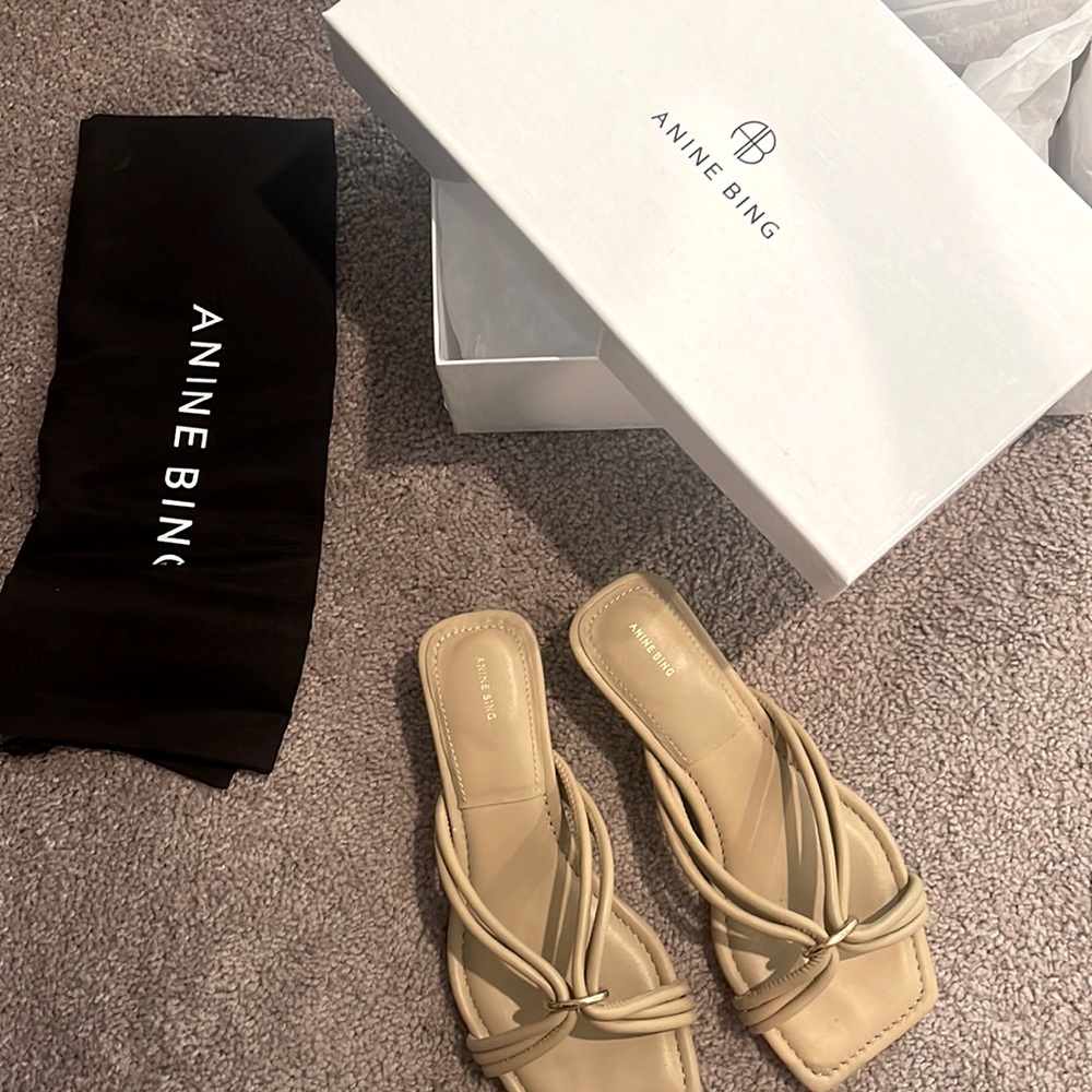 Anine Bing like new suki sandal. Wore one time briefly.